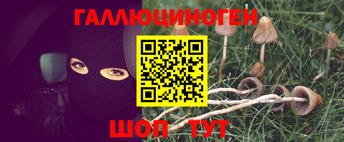 Галлюциногенные грибы мицелий  Вход с VPN  Обь 